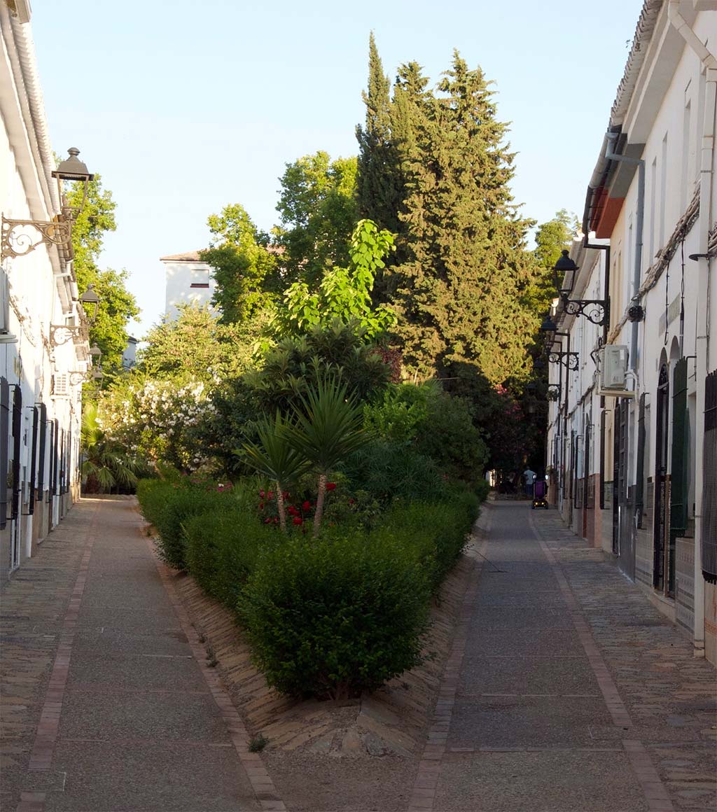 Calle Arriate en Ronda