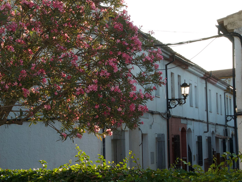 Calle Jubrique en Ronda