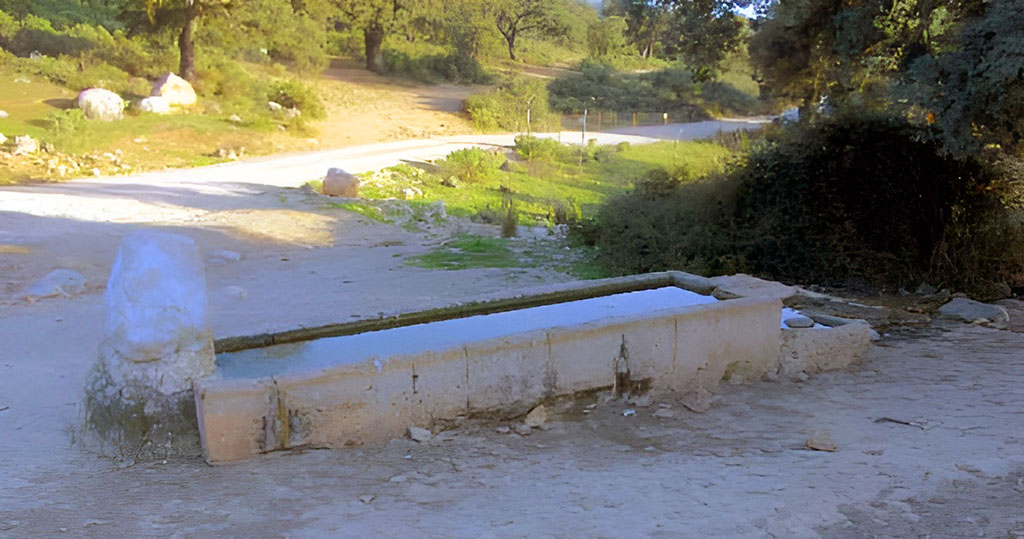 Pilar de Coca en Ronda